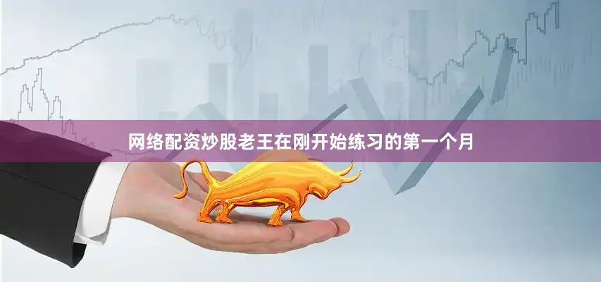 网络配资炒股老王在刚开始练习的第一个月
